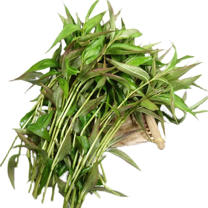 云南特产香料山野菜香柳扑鼻煮鱼香蓼柳辣蓼草其它