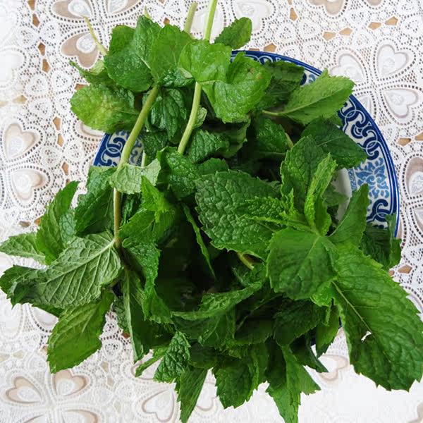 云南新鲜野菜薄荷菜叶原产地直销餐厅农家菜调料其它