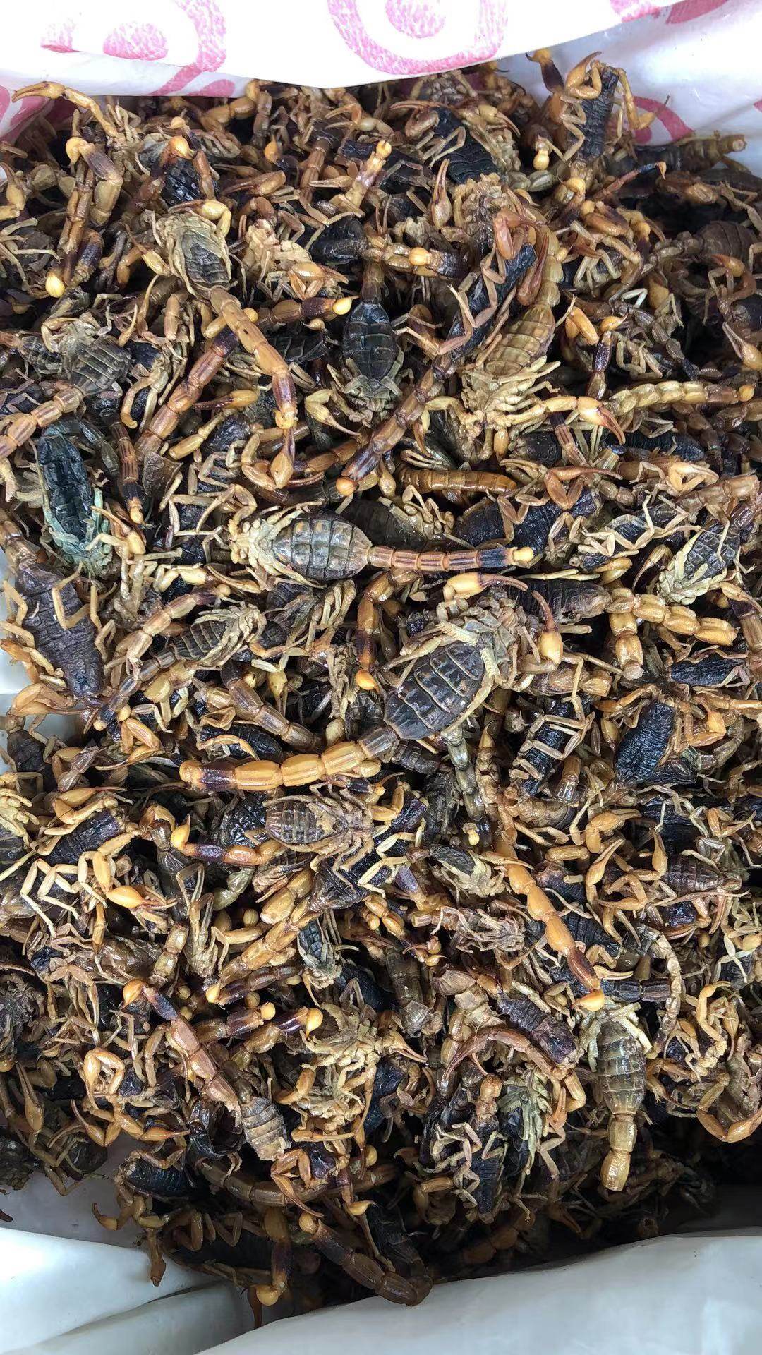 全蝎中药材全虫100克足干清水无盐全干蝎子可磨其他药食同源食品