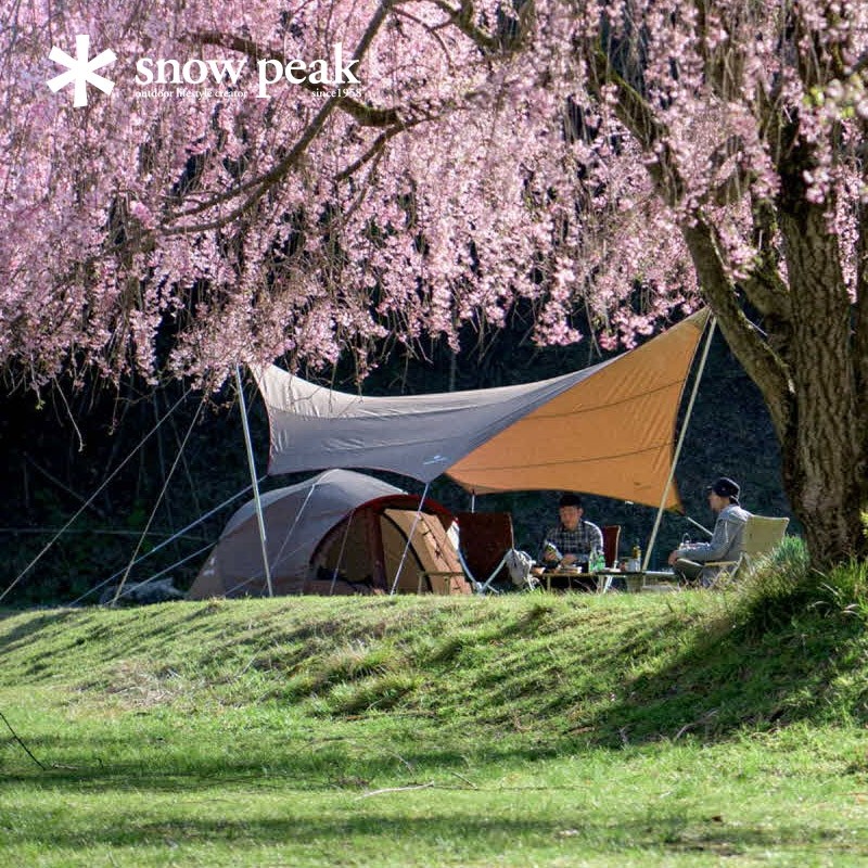 snowpeak雪峰户外露营天幕amenitytarphexa6人用天幕