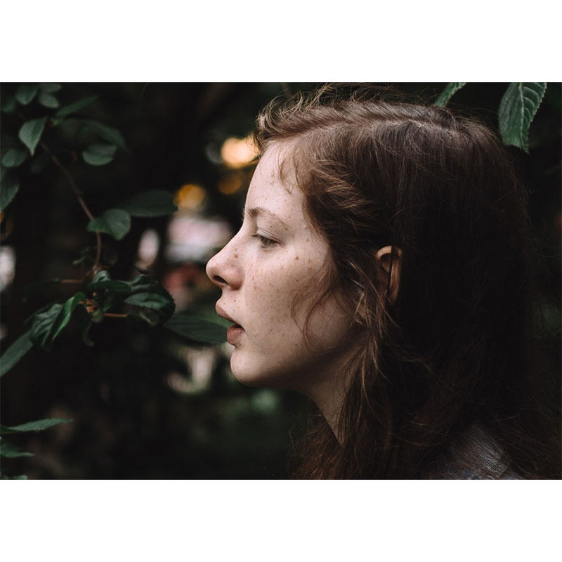 lr富士fuji胶片预设kodakportra400柯达胶圈复古设计素材