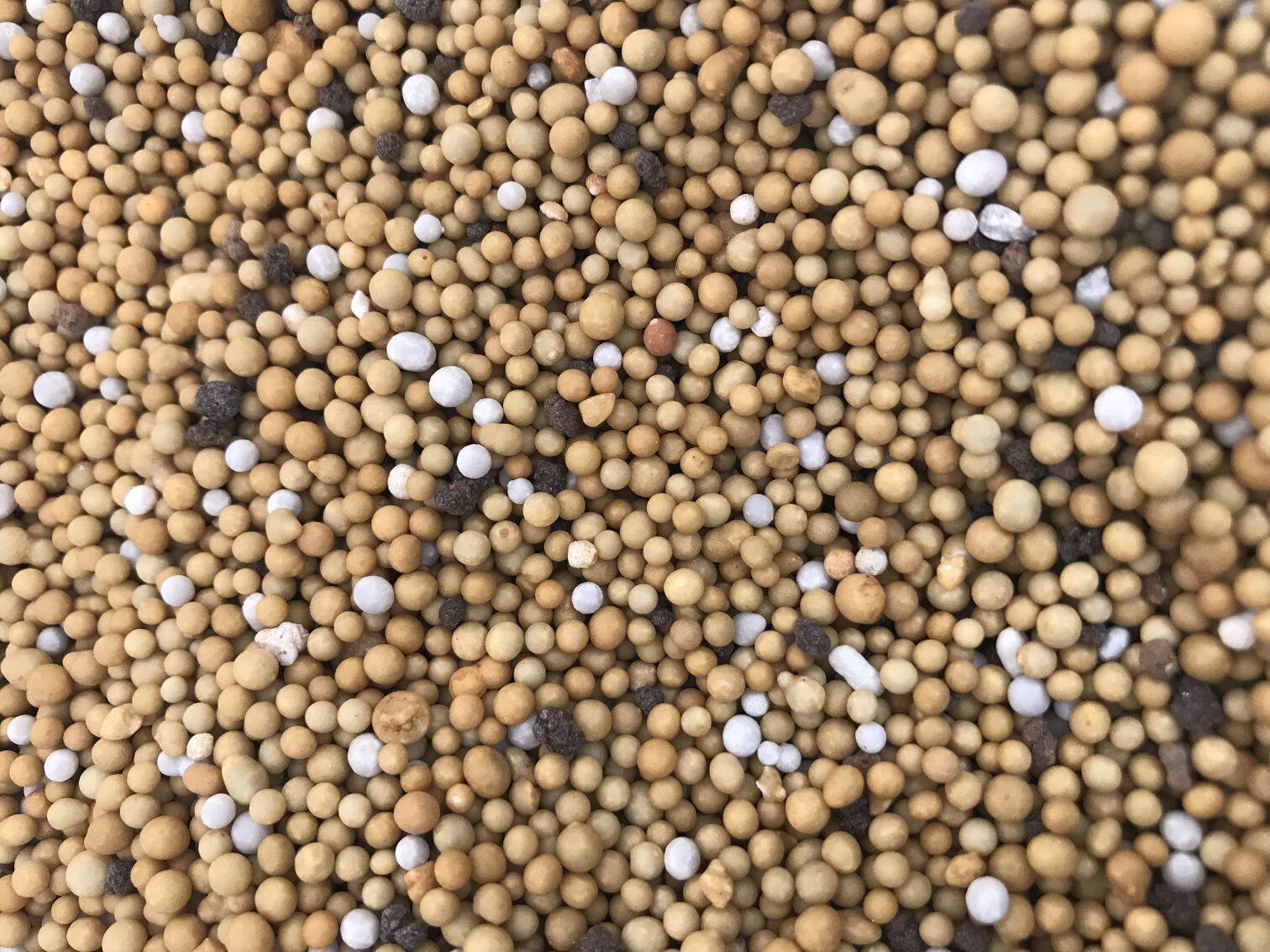 文丽园艺 进口木本颗粒缓释肥花卉绿植盆景肥料壮苗催花肥