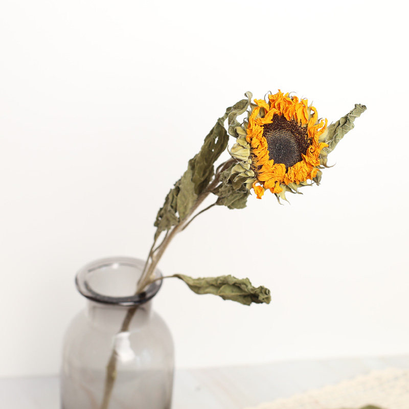 向日葵干花花束真花文艺ins网红桌面家居客厅干花