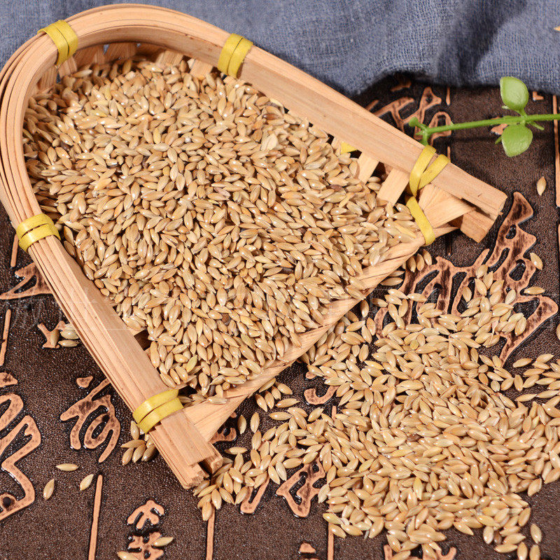 进口白尖粟多省5斤一件籽鸟草庐尖粟加纳食油鸟食