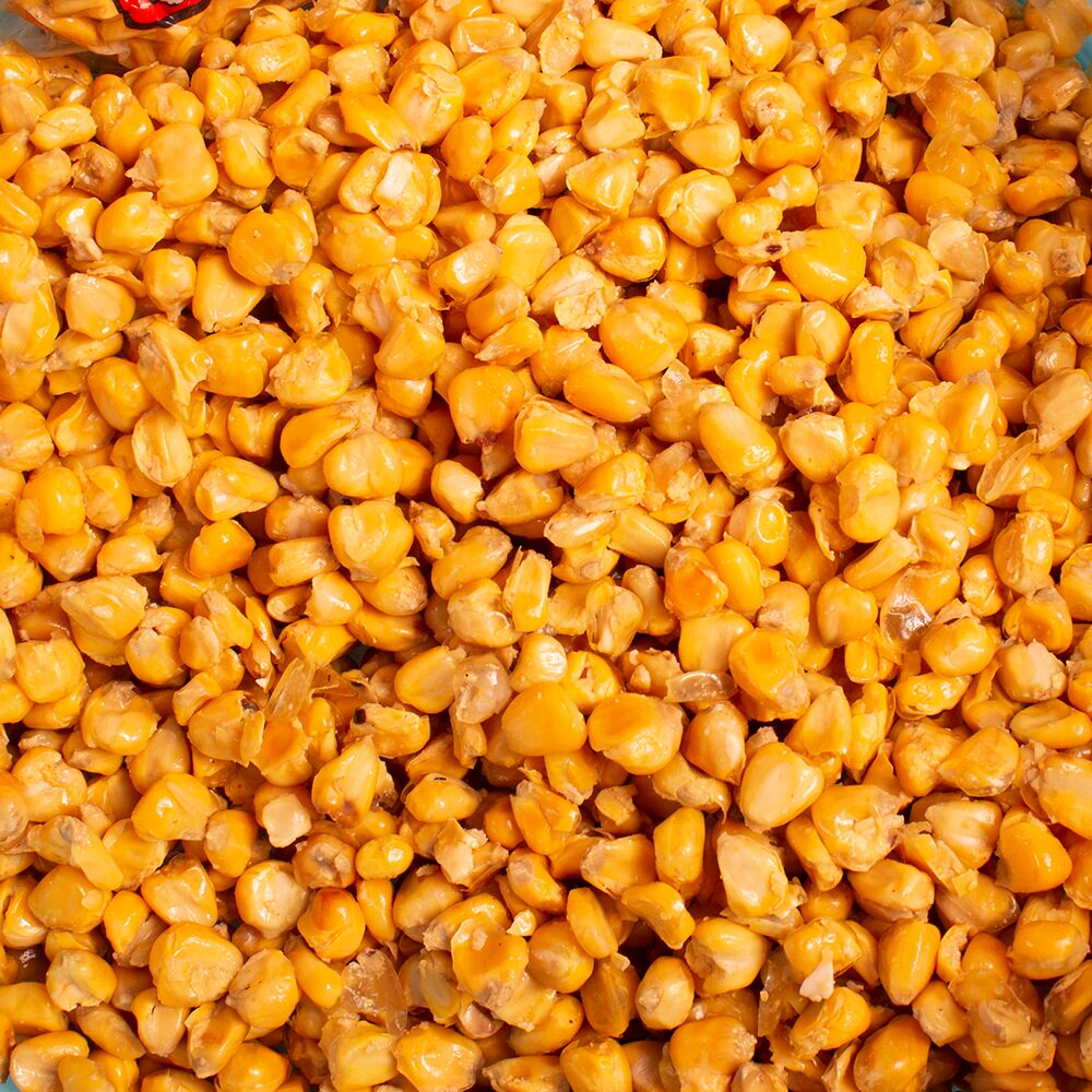 钓鱼玉米鱼饵料钓饵鲢鳙鲫鱼青鱼草鱼专用饵野活饵