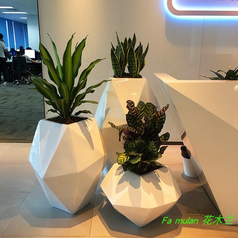 件套大型组合盆栽公司前台大堂高级大型绿植