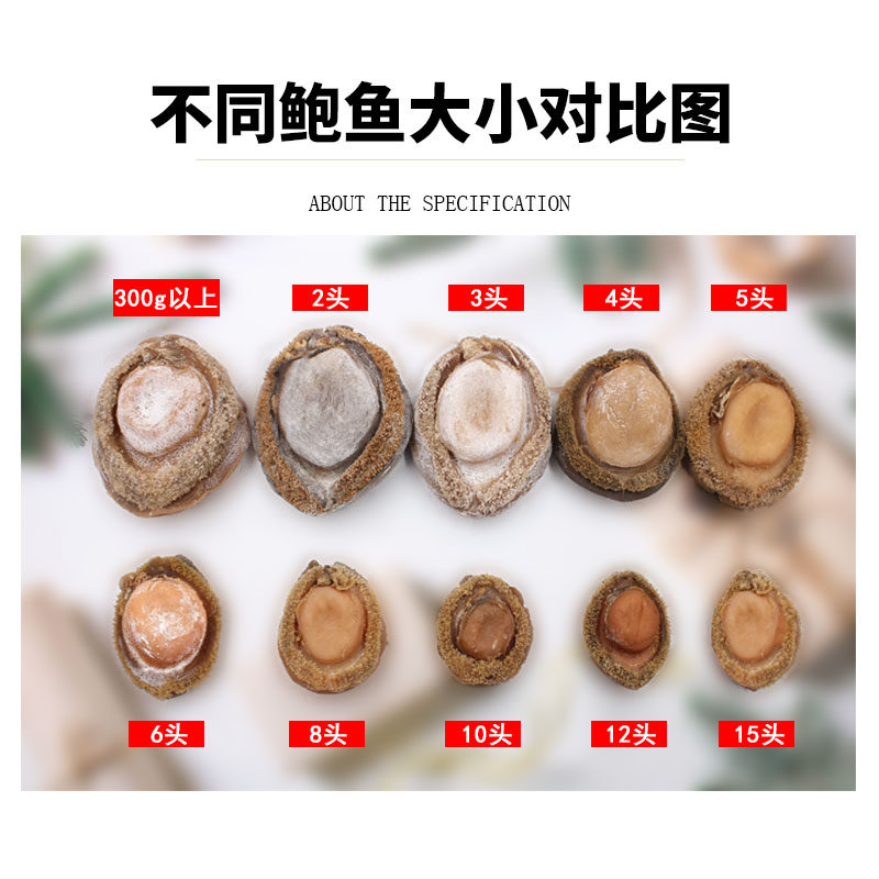 鲍鱼南非500g6头8头10头特级1斤网鲍溏心鲍鱼