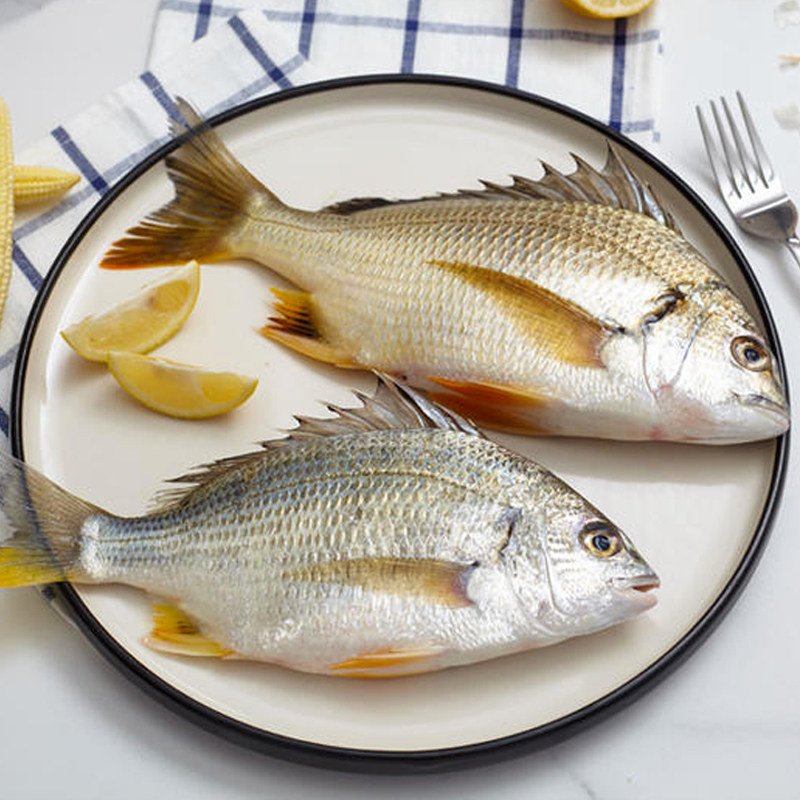 野生黄翅鱼天然海域黄鳍棘海鲜水产24条一斤胶辣其它