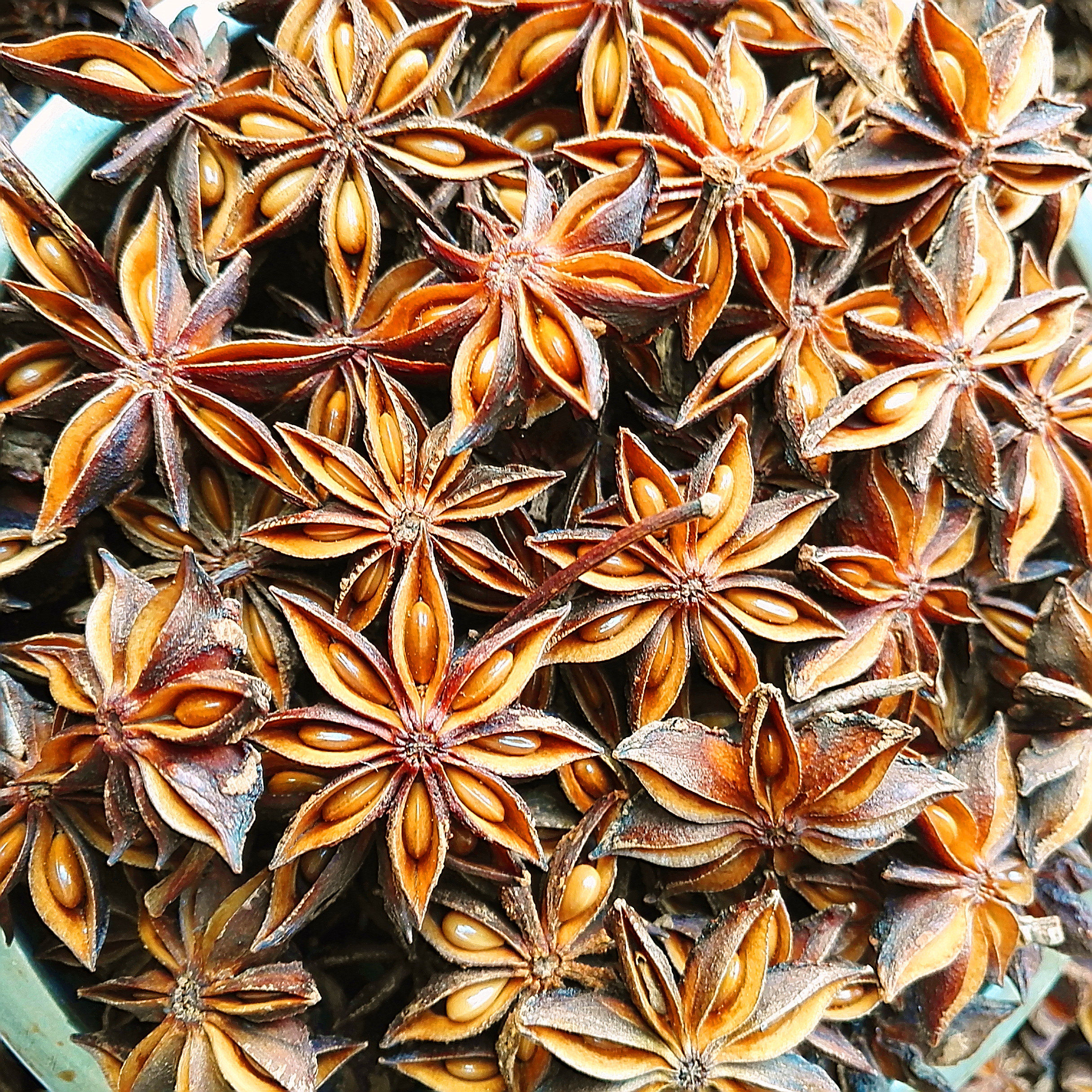 广西八角大料500克包邮品质农家新鲜自晒无硫花椒