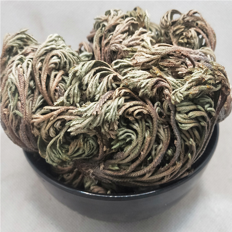 卷柏中药材250g包邮正品植物九死还魂草卷伯草其他药食同源食品