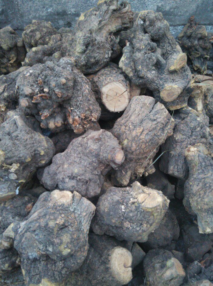 疙瘩麻利干料李根原料麻梨木料根瘤树根文玩根雕