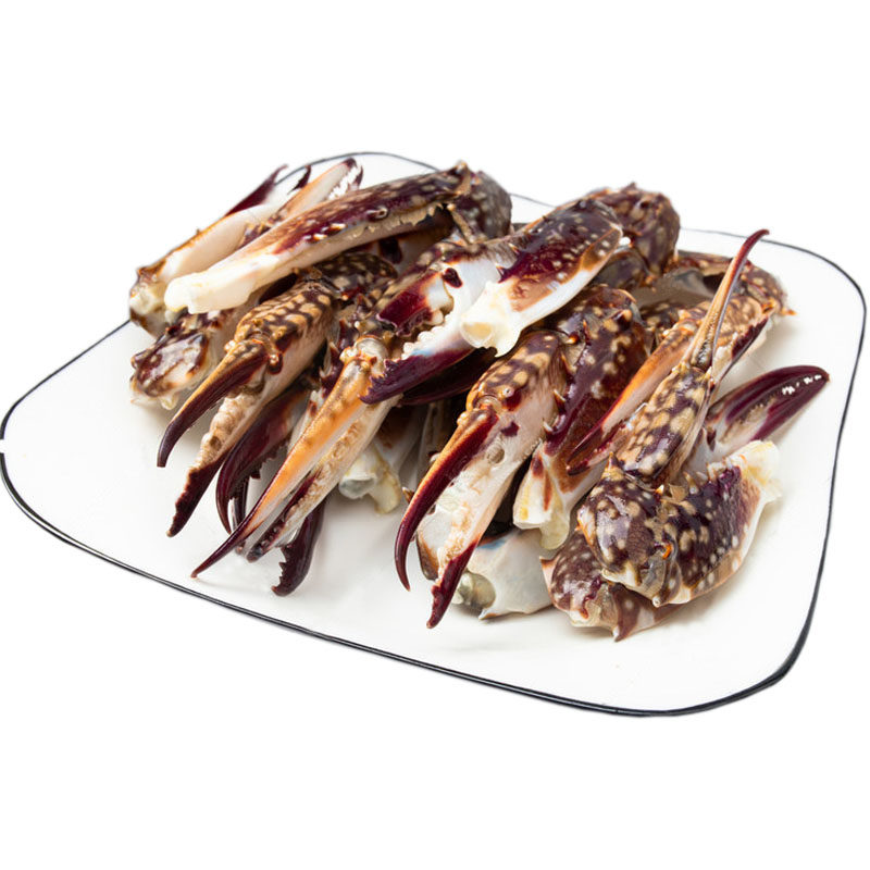 蟹脚蟹钳鲜活生鲜超大螃蟹梭子舟山鲜冻3斤梭子蟹