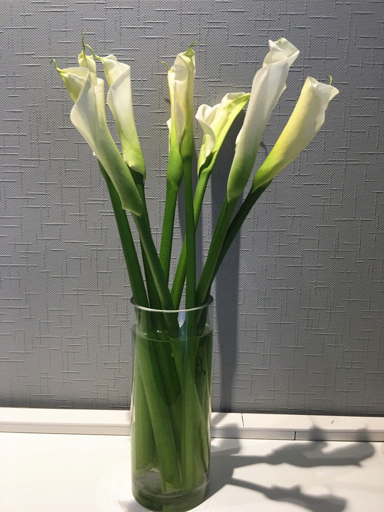 云南昆明马蹄莲鲜花客厅水养鲜切办公室插花顺丰花卉