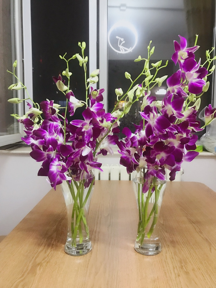 洋兰云南昆明鲜花直批杨兰千代万代兰插花装饰鲜花速递同城