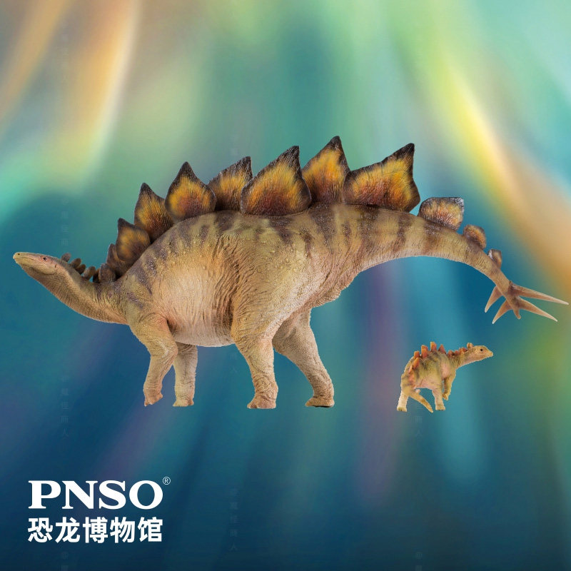 pnso恐龙博物馆科学艺术模型玩具剑龙比伯鲁克仿真
