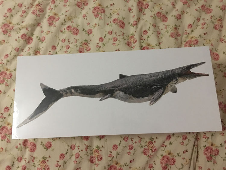 现货pnso恐龙大王沧龙苍龙侏罗纪博物馆科学艺术仿真海洋动物模型