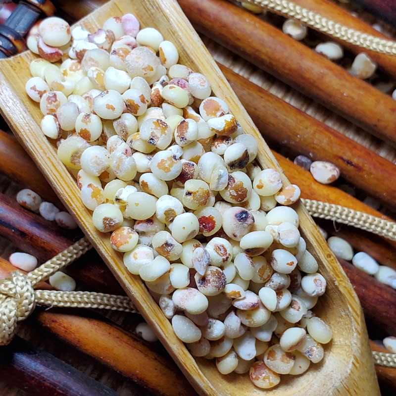 高粱米2021煮粥农家自产包粽子粽子红高粱黏糯其它粮食