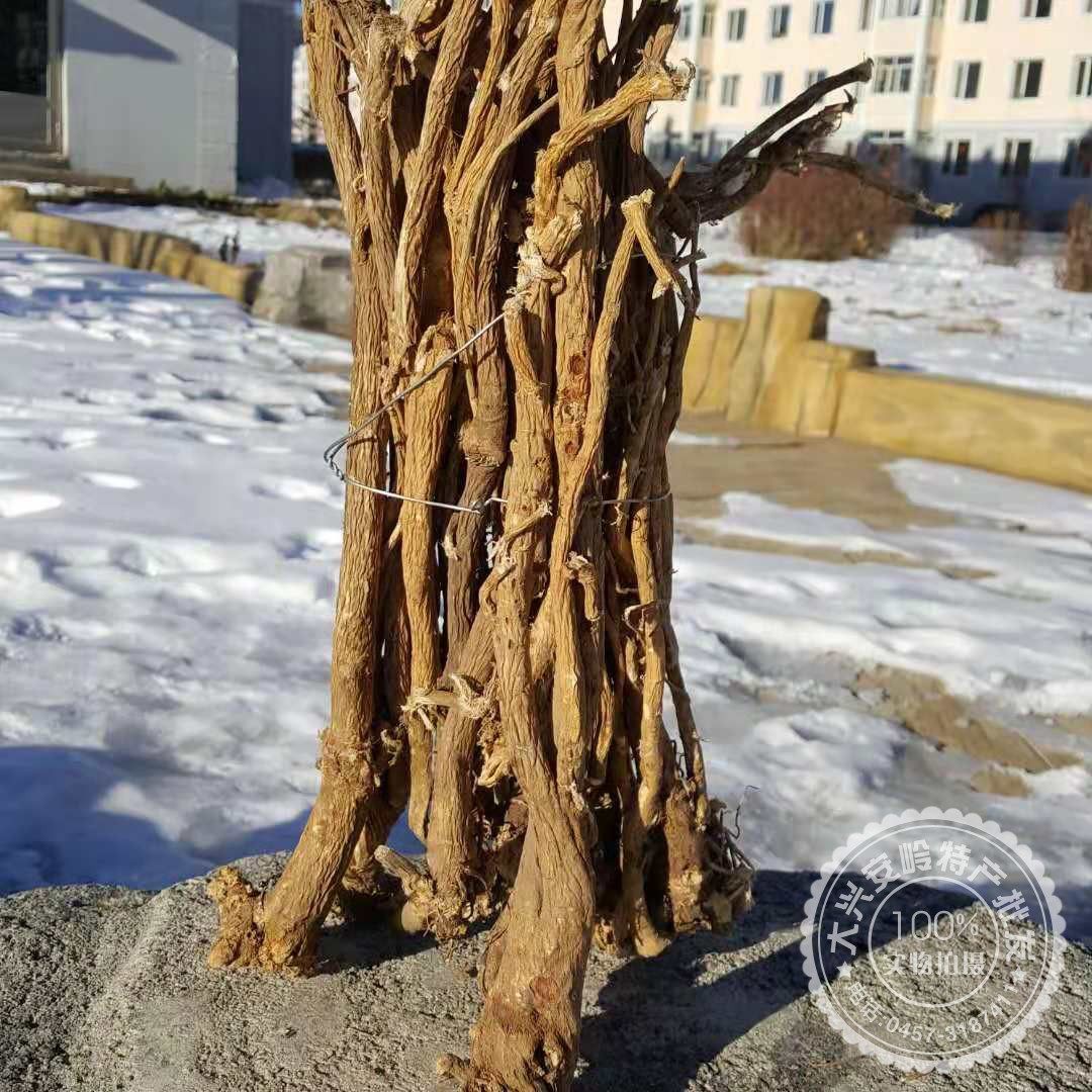 散装大兴安岭原始森林中草药整根野生北黄芪免费切片自然晾晒500g