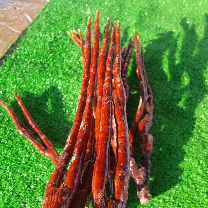 煲汤散装大兴安岭产地东北泡酒佛手灵芝整枝鹿角整枝灵芝