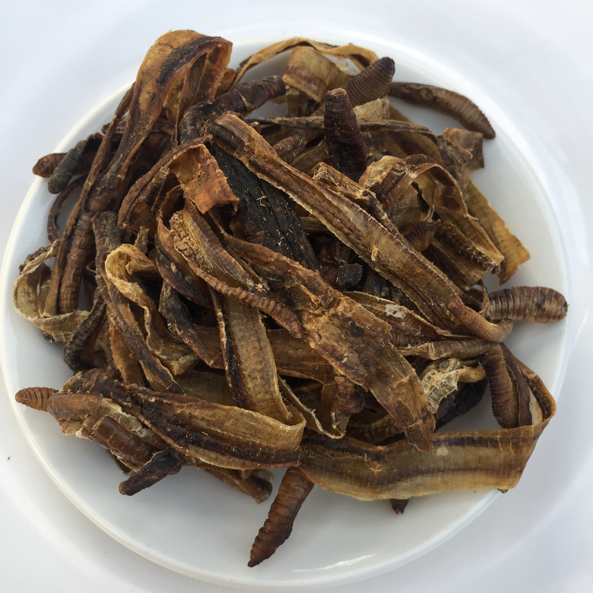 包邮500克半开整条地龙干地龙粉野生广地龙可磨粉精选中药材