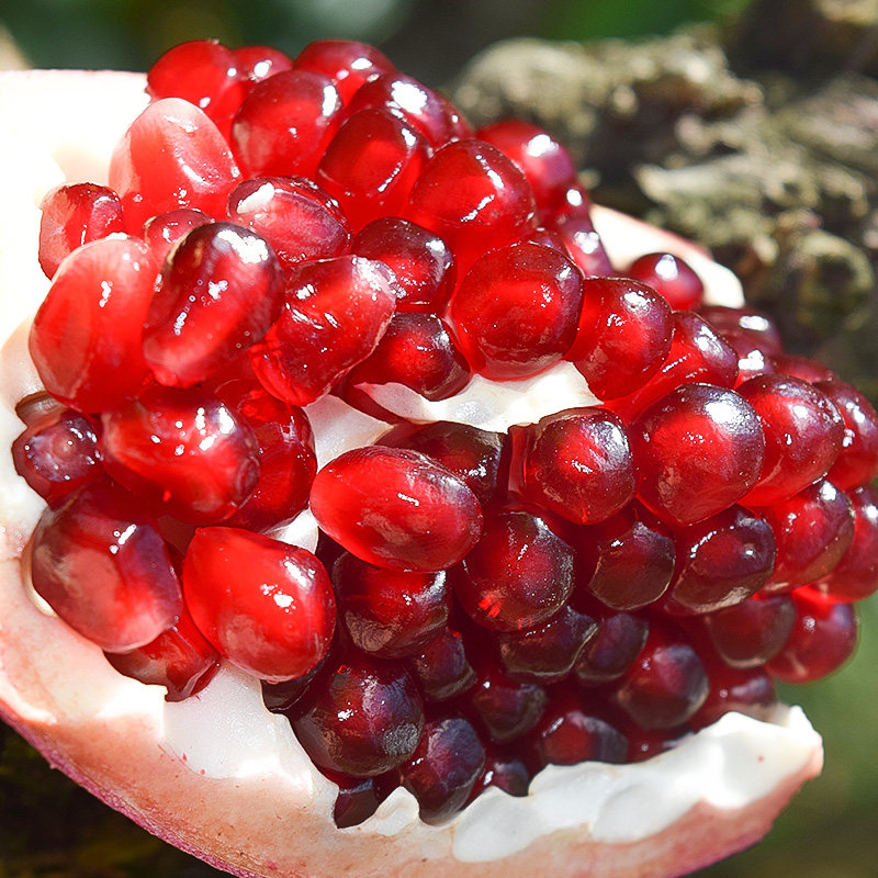 突尼斯软籽红甜石榴现摘无籽孕妇水果特级大果石榴