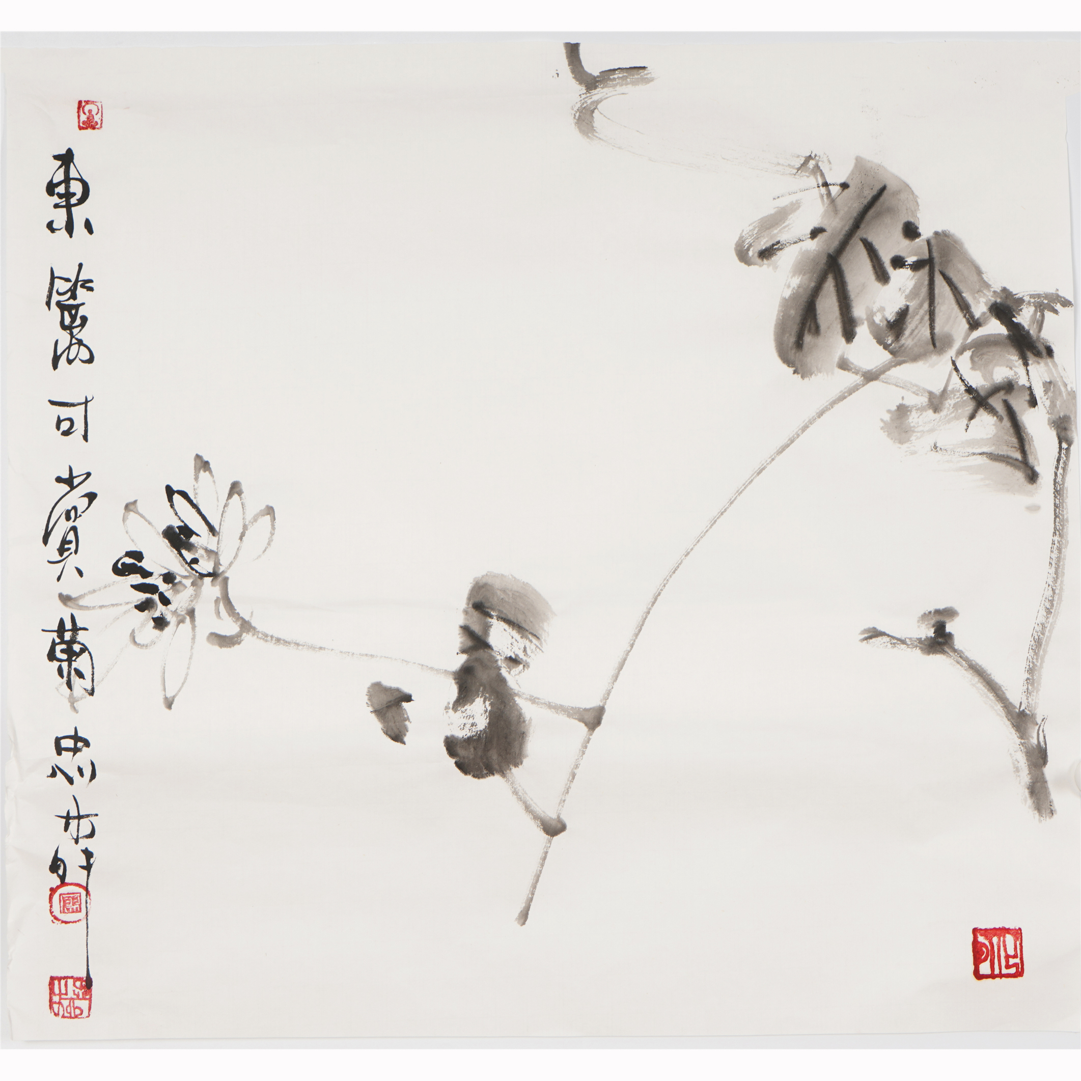 三尺斗方水墨画手绘禅意国画花鸟画中式客厅字画廖忠柳真迹00009 - 四