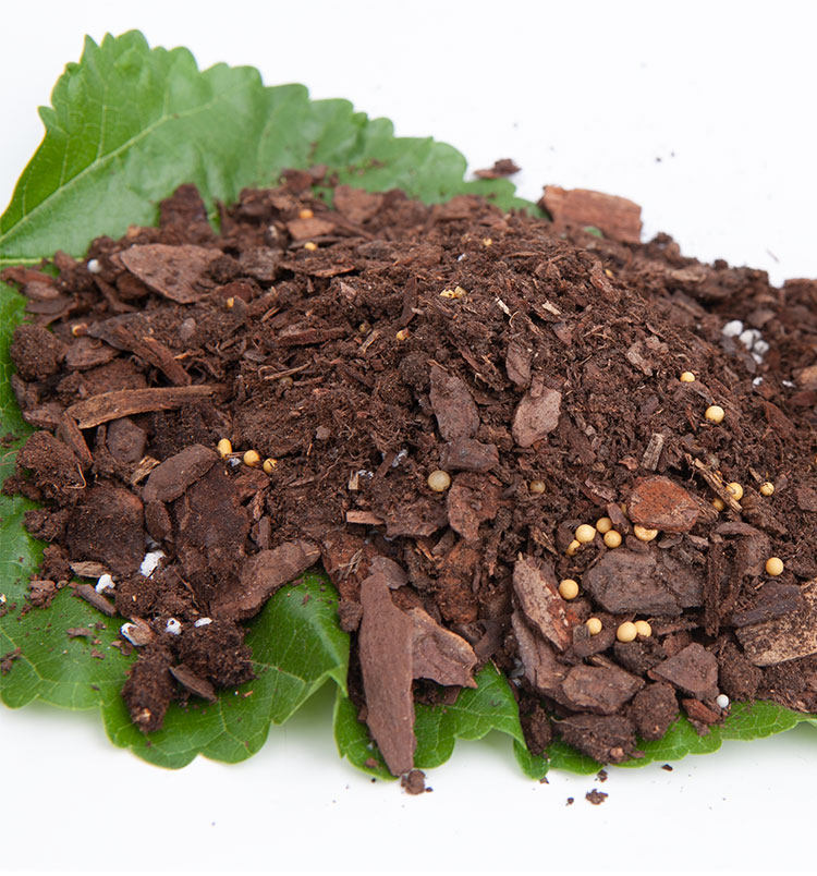 营养土进口颗粒泥炭土养花通用型月季家用有机种菜盆栽种植土花土