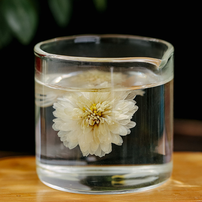 菊花正宗花茶甘甜清香泡水黄山白菊花月产十一月代用