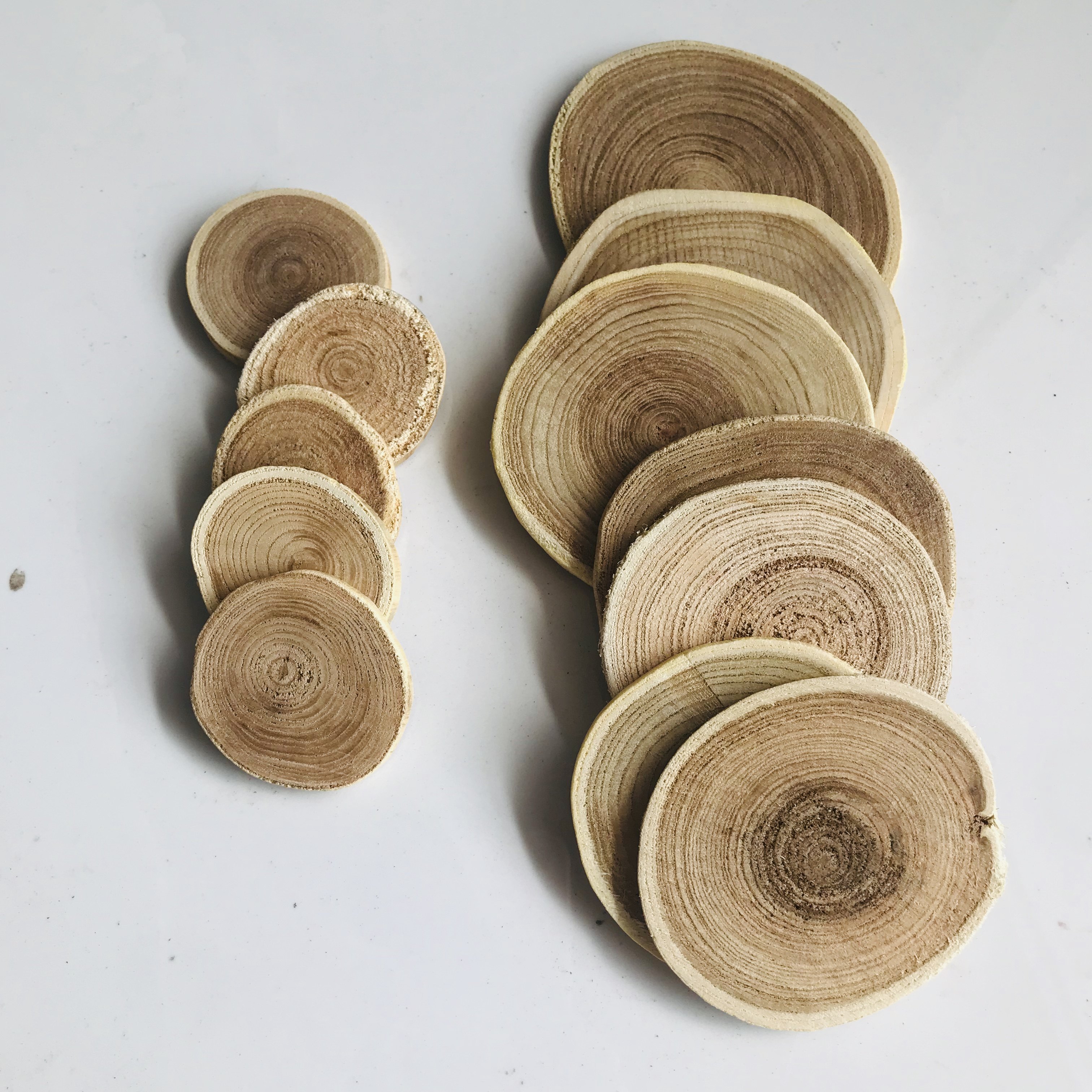 木片圆木手绘diy材料装饰背景手工原木年轮干花