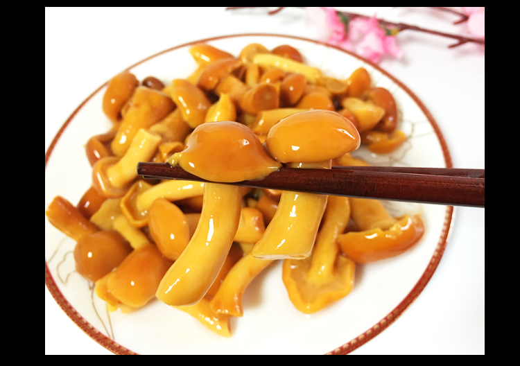 芙蓉园【3.5千克】山珍菌新鲜滑子菇野山菌珍珠菇滑菇蘑菇包邮