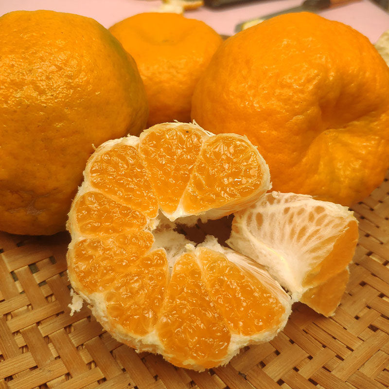 云南桔子 热带水果整箱非四川丑橘桔不知火 大理宾川晚卢椪柑橘子