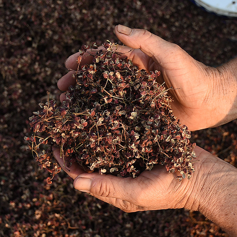 花椒山东干花包邮食用泡脚调料麻香500g农家花椒