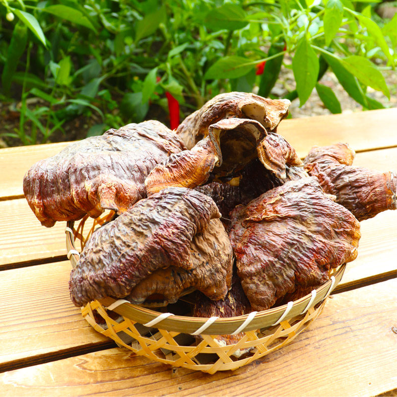 松杉灵芝赤灵芝林下木灵芝大个特级250g包邮长白山白肉灵芝煲汤