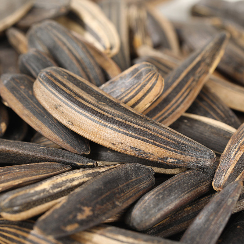 瓜子保定易县子良10斤特价原味散装竹签牙签瓜子