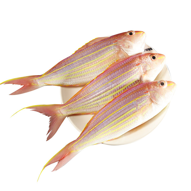 渔民的孩子每日现捕海捕海鲜海钓大金线鱼新鲜红杉三鱼500g13只