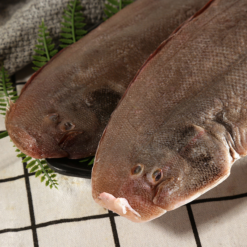 渔民海鲜踏板龙舌龙利大龙细鳞本港水产福建其它