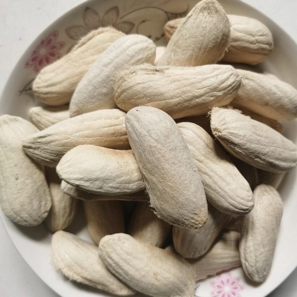 芒果果核500g纯天然无硫熏冷中药材其他药食同源食品