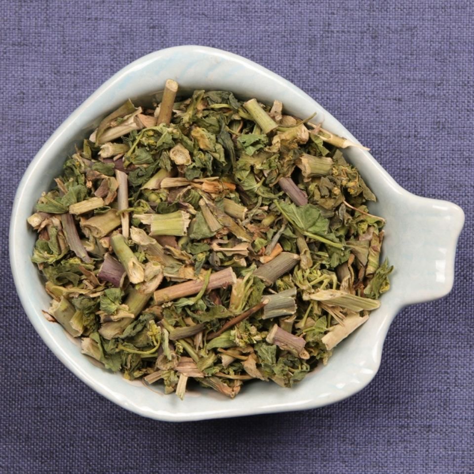 中草药泽漆包邮500克耳叶大戟猫耳眼中药材店铺非野生正品猫眼草