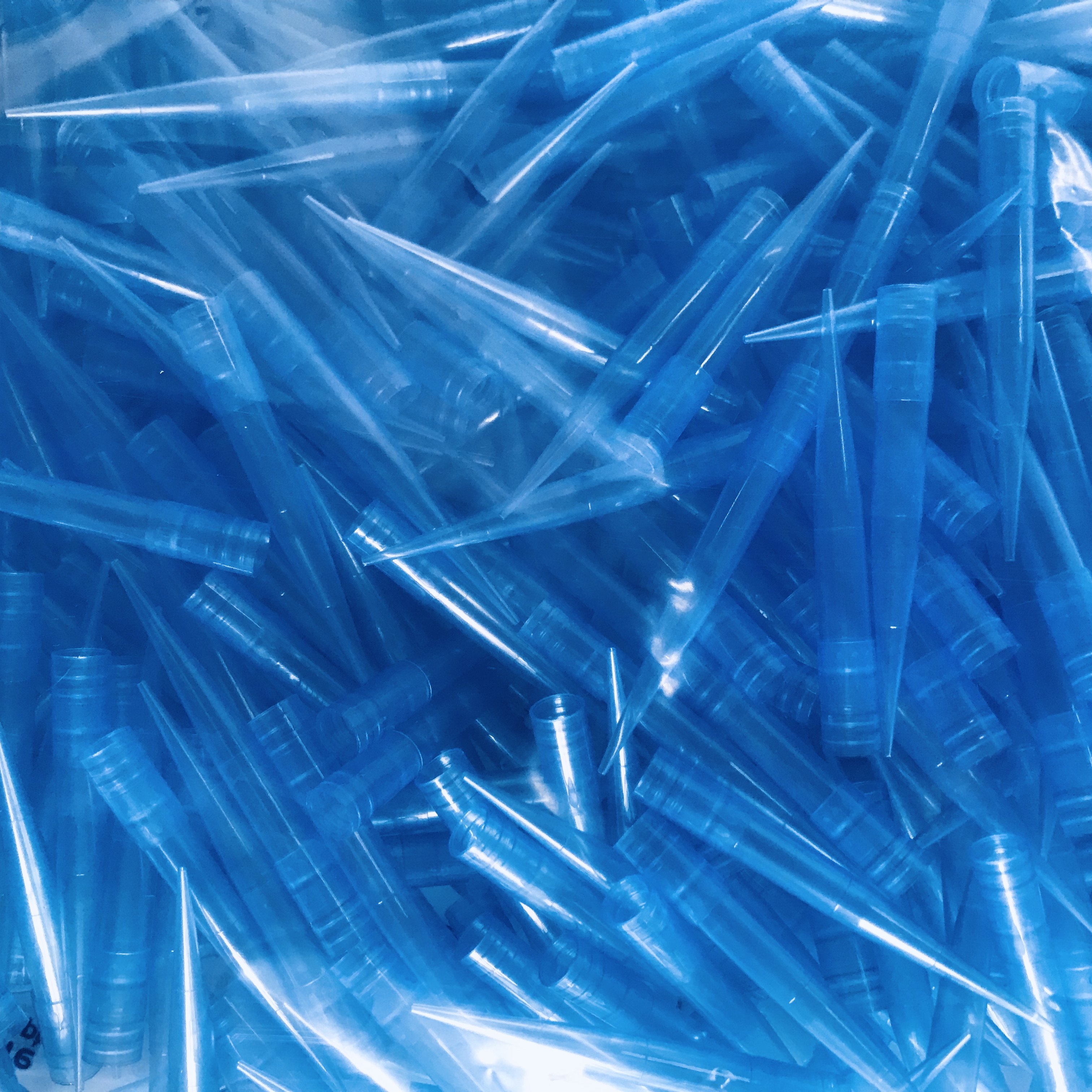 eppendorf艾本本德袋装移液器吸头501000ul蓝色1ml移液枪管类