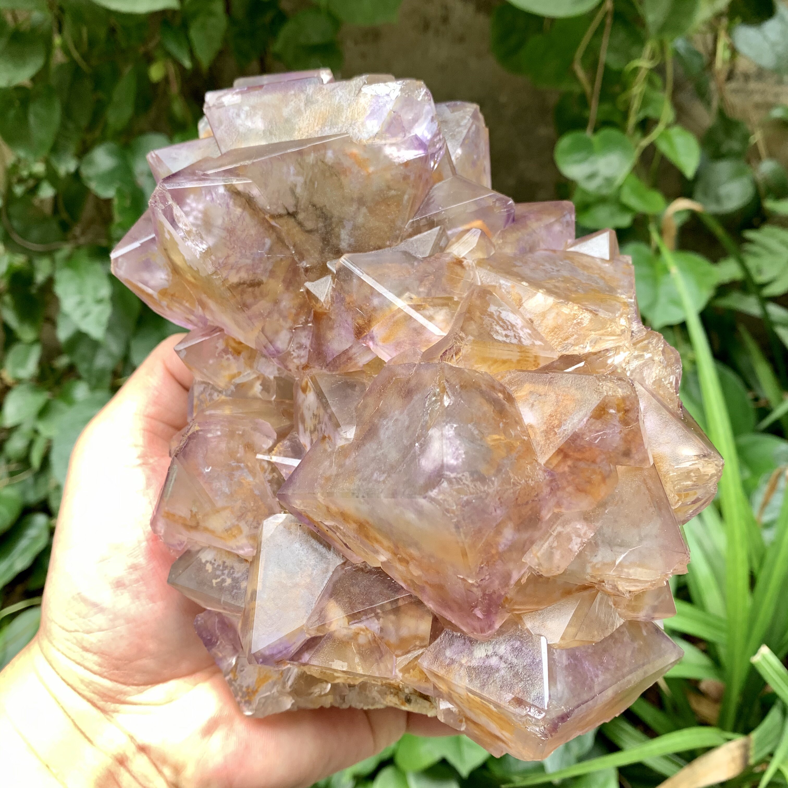 晶体内蒙八面体萤石天然矿物标本矿石原石收藏摆件