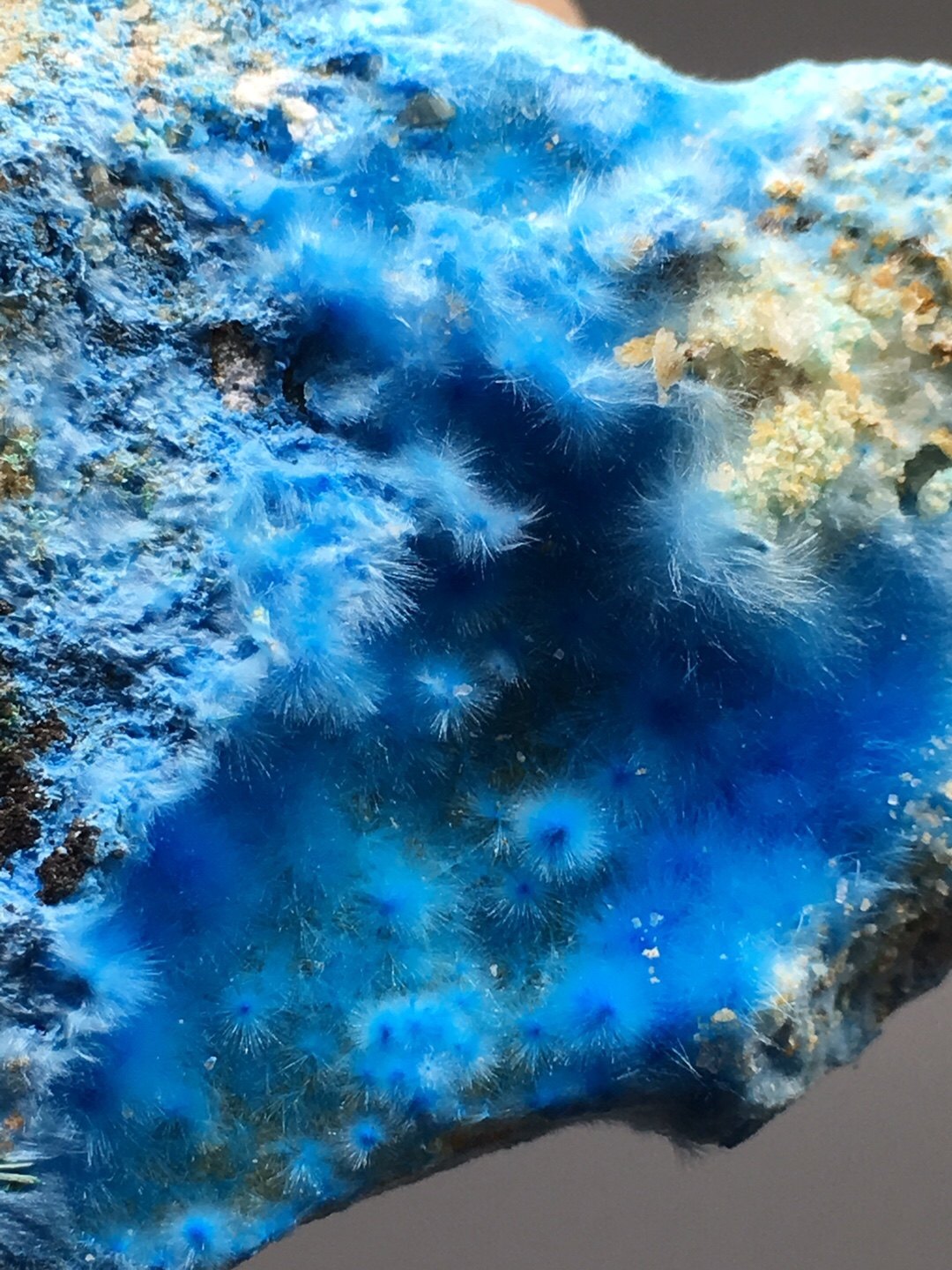 贵州蓝色铜矿天然矿石矿物晶体教学标本原石摆件