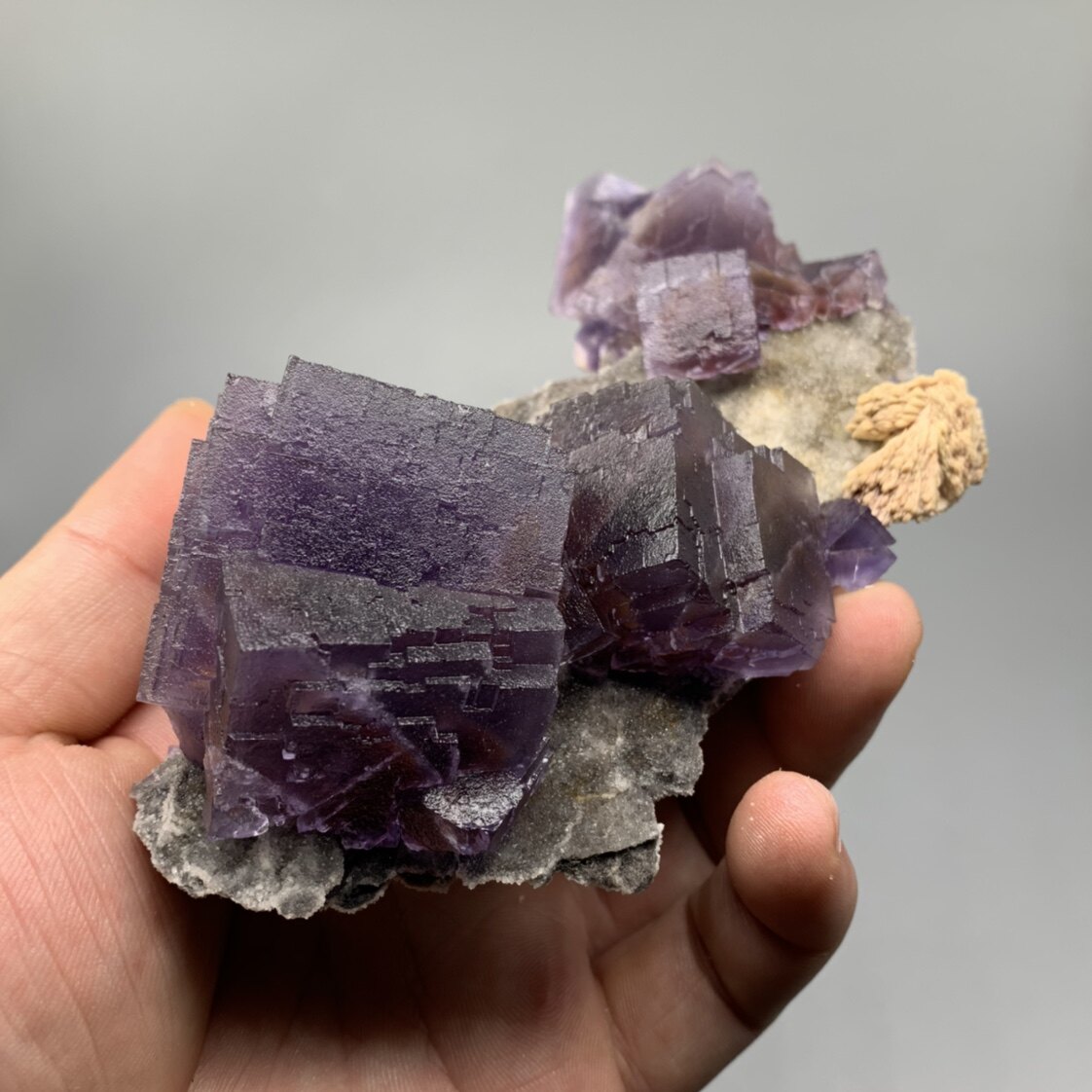 晶体贵州萤石重晶石共生天然矿物教学标本奇石摆件