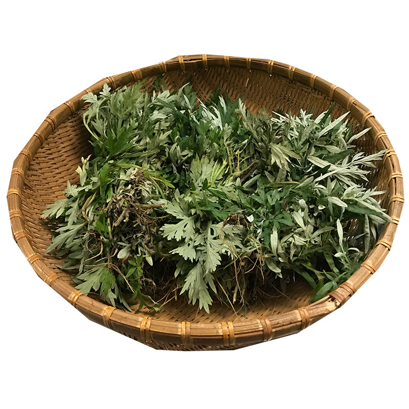 新鲜艾草生艾叶野生现采艾草宝宝洗澡做月子泡脚草药用500g鲜货