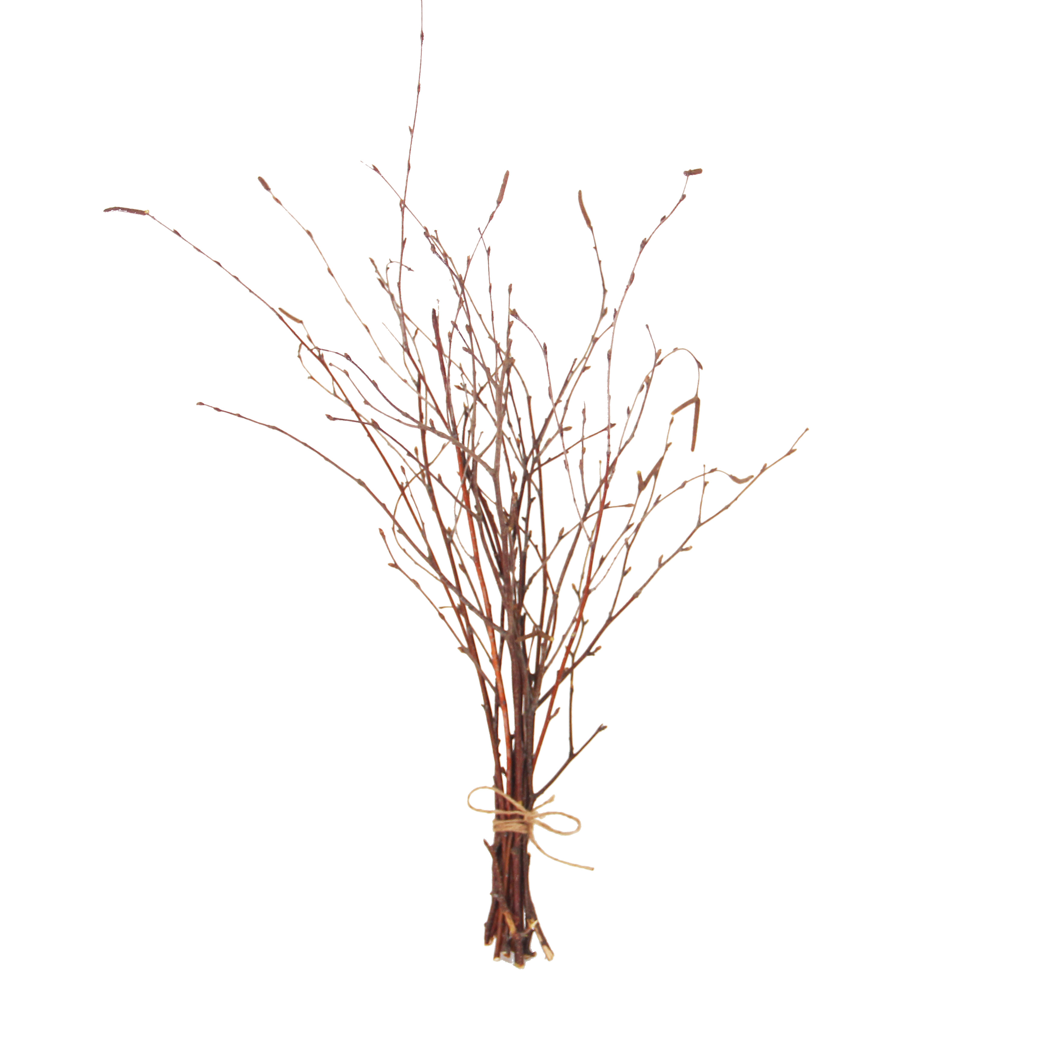 树枝白桦装饰复古干枯插花原木田园客厅树杈干花