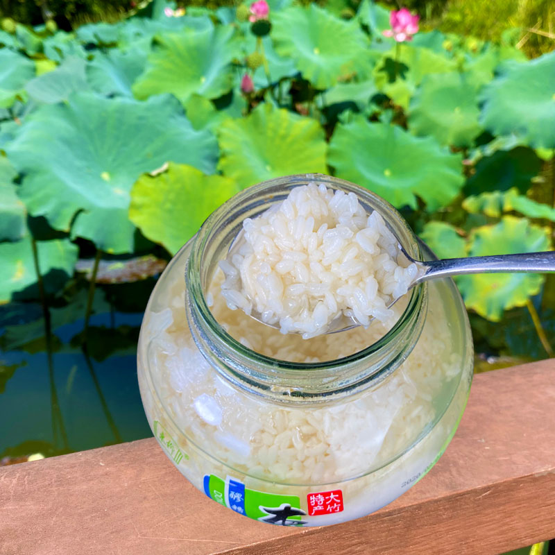 四川特产大竹东柳醪糟600克农家月子米酒糯米月子米酒