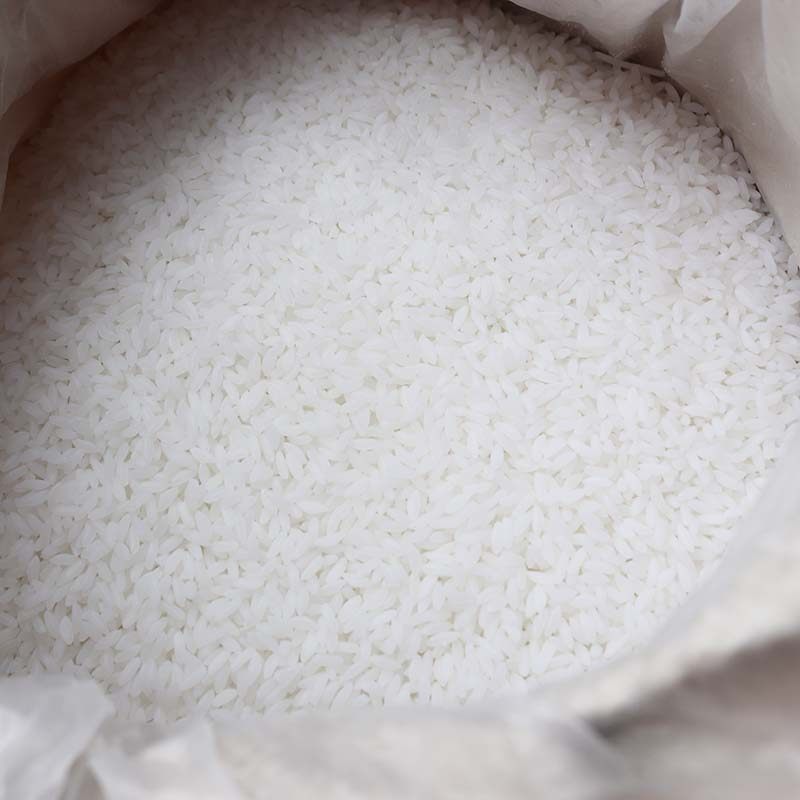 仿真大米pvc塑料假米食物模型摆件玩具教识仿真果蔬