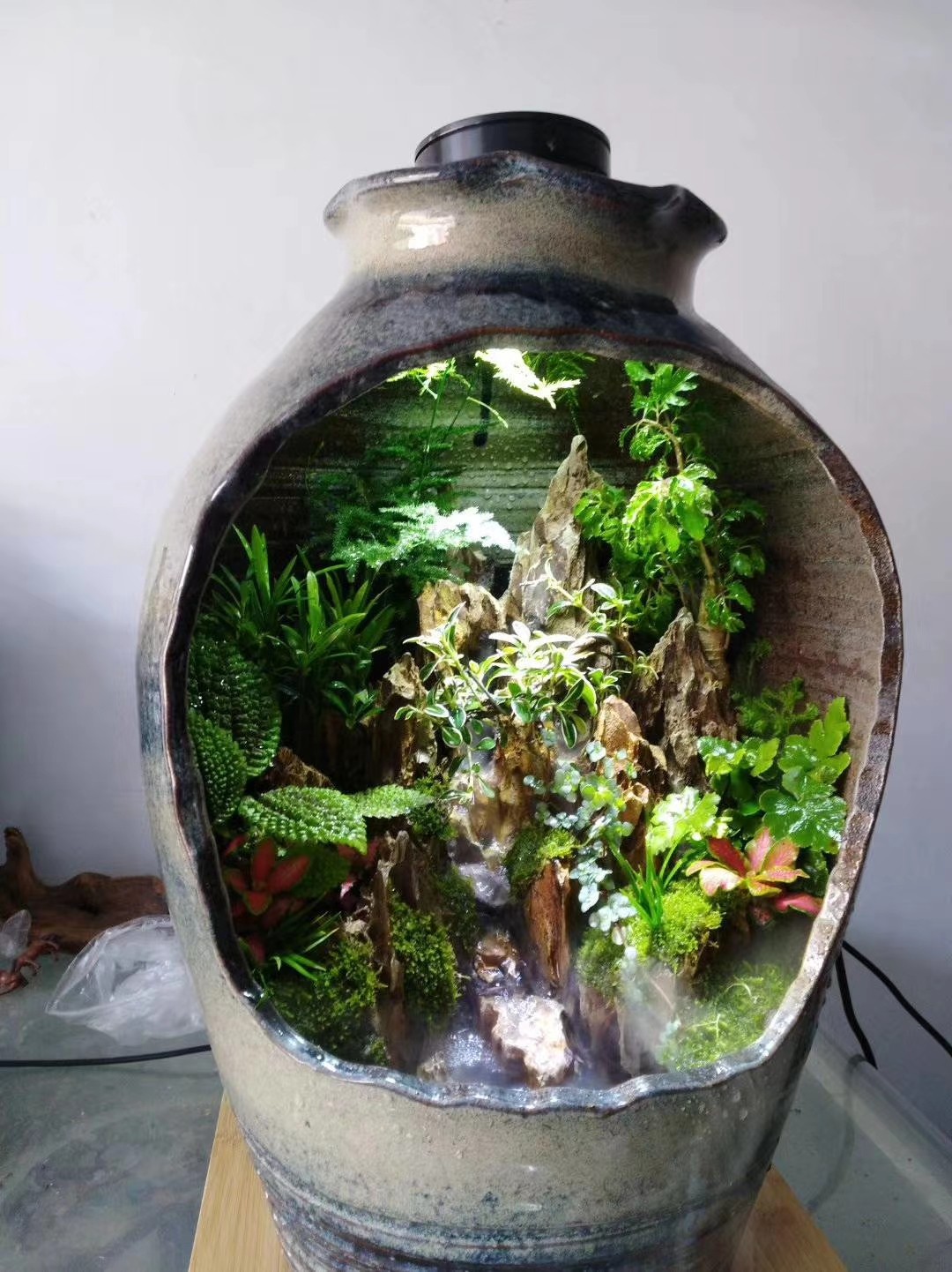 网红陶罐水陆桌面景观植物陶瓷苔藓创意diy造景