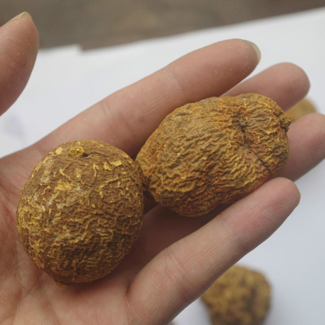 贵州野生药材金果榄 地苦胆 九牛胆 九莲子 野生九龙胆 250克包邮