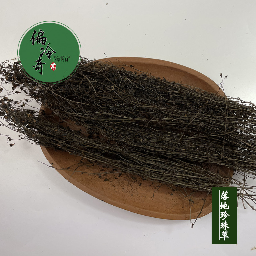 偏冷奇中草药材 地下明珠草