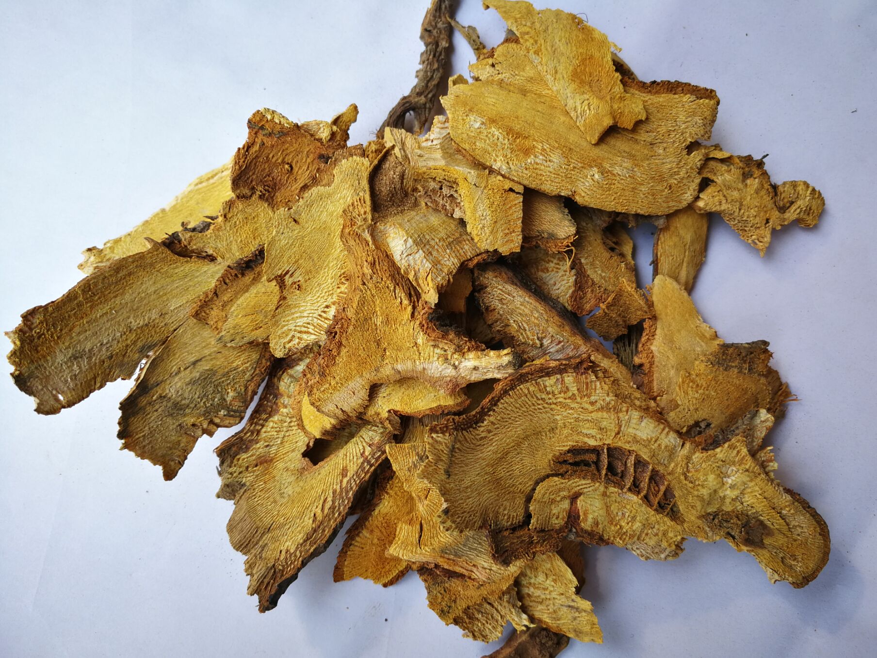 野生虎杖根中药材新鲜晒干苦杖花斑斑竹筋龙斑杖其他药食同源食品